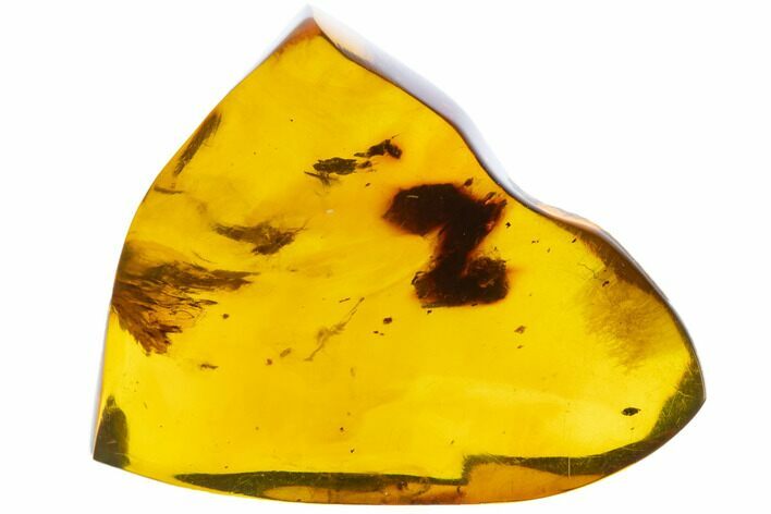 Polished Chiapas Amber ( g) - Mexico #104267